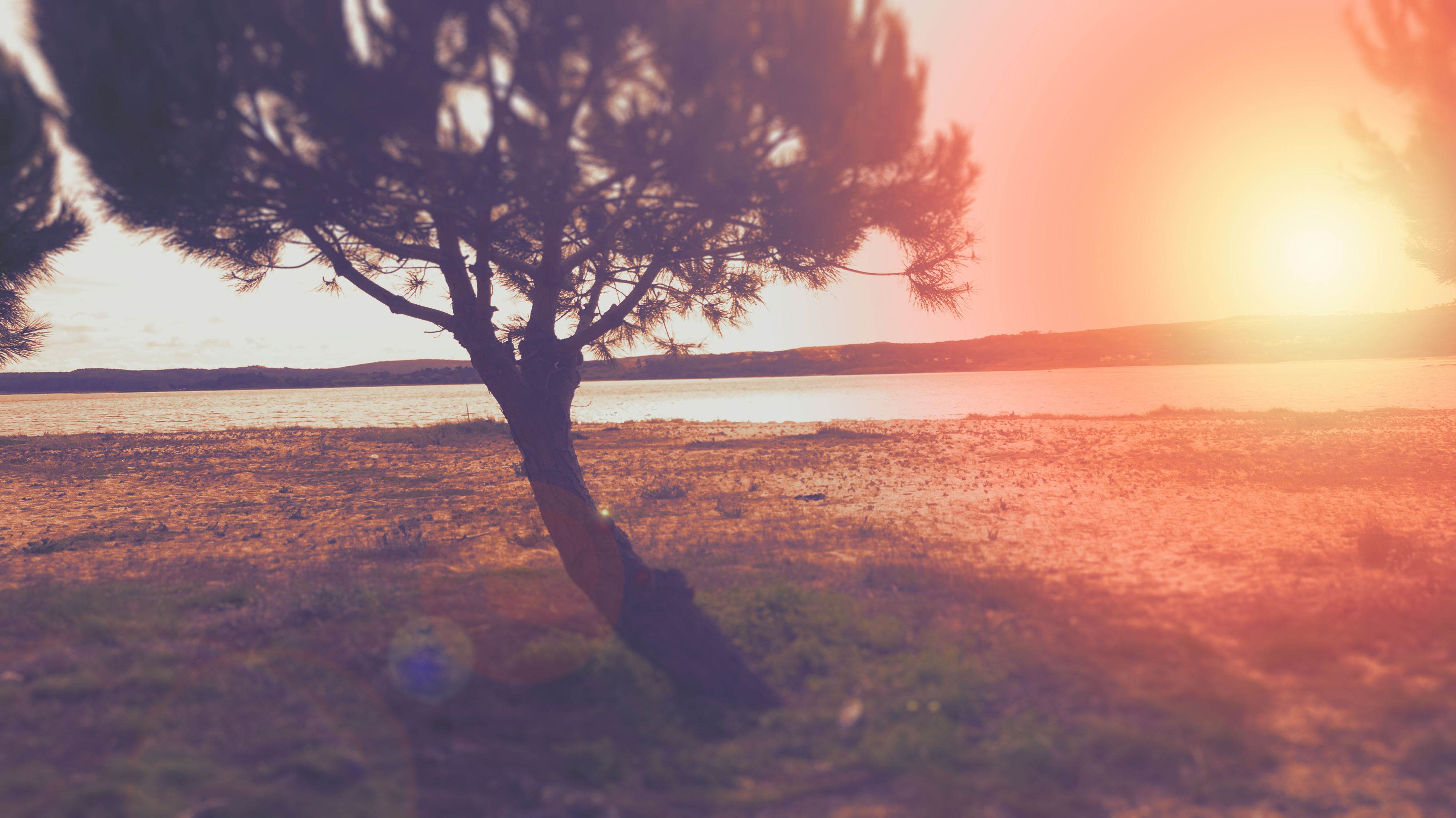 Oestecoast Sunset Lagoa Holidays